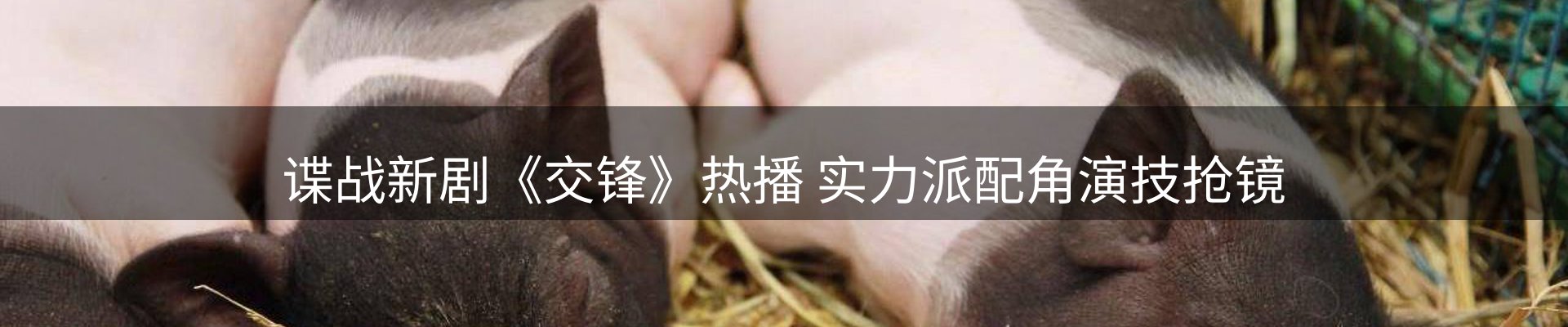 公司简报